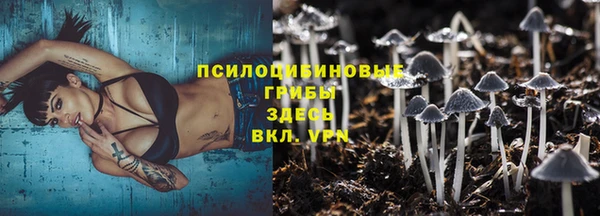 гашик Балахна