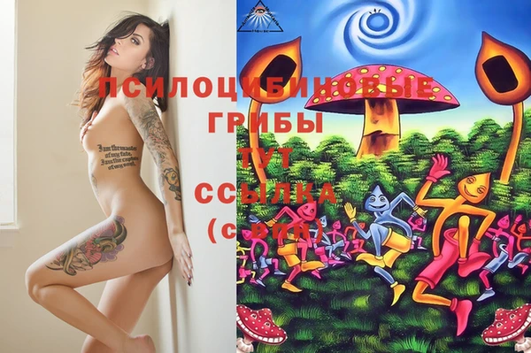 мет Белокуриха